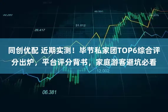 同创优配 近期实测！毕节私家团TOP6综合评分出炉，平台评分背书，家庭游客避坑必看